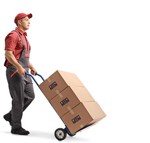 man-with-cargo-trolly6